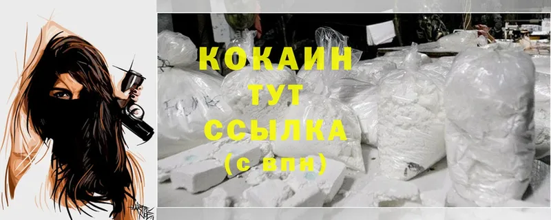 Cocaine Columbia  Ершов 